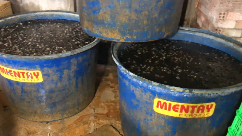 Phát hiện 1,8 tấn ốc ngâm hoá chất 