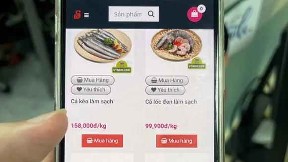 Hình minh hoạ. Ảnh: Internet