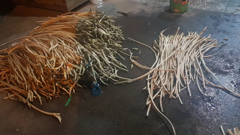 Hiện trường vụ việc 