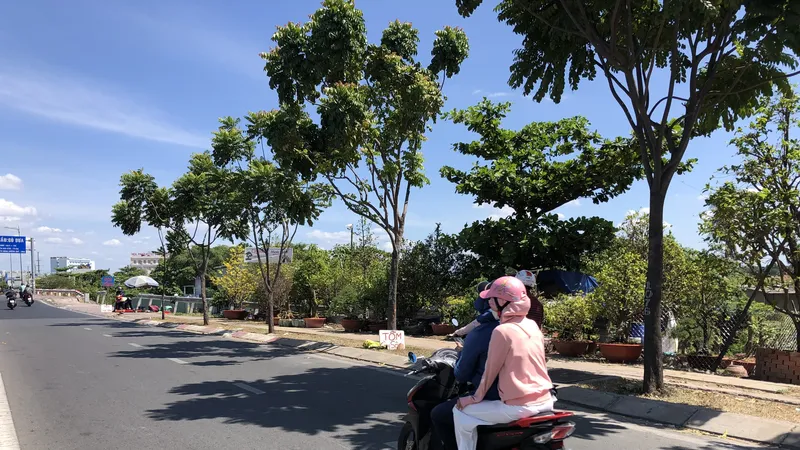 Nơi xảy ra vụ việc. Ảnh: CHÍ THẠCH 