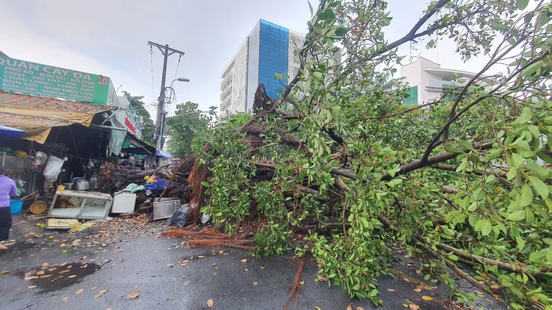 Hiện trường vụ việc