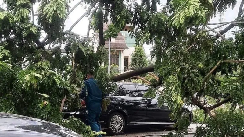 Hiện trường vụ việc 