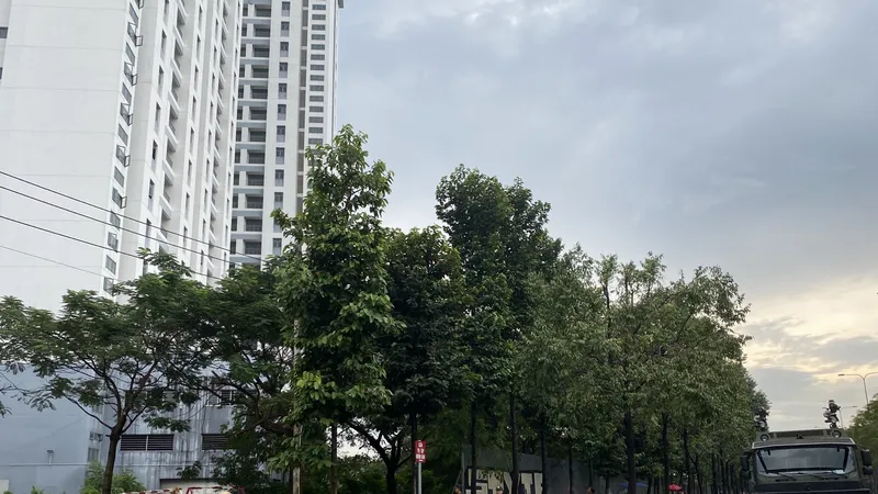 Khu vực diễn tập 