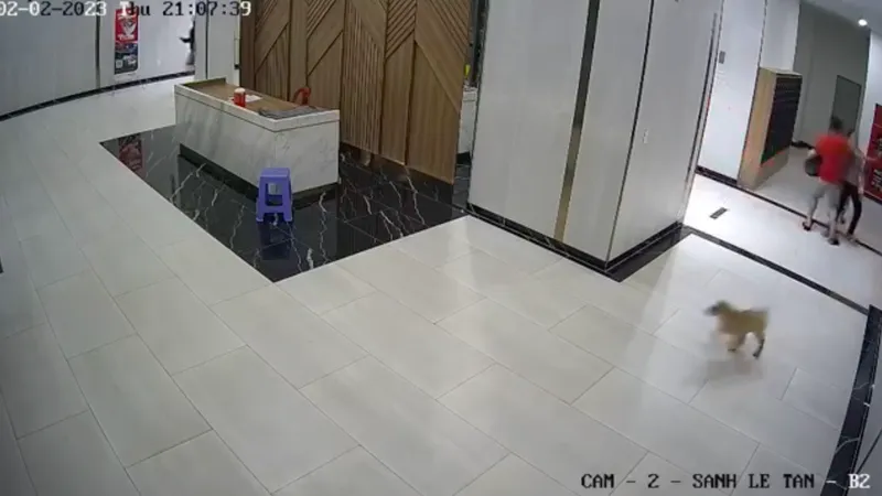 Đưa người đàn ông bị đánh vì xua chó ở chung cư đi giám định thương tích