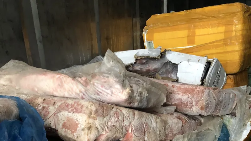 Phát hiện 2 thùng container chứa 10 tấn nội tạng, thịt động vật trôi nổi