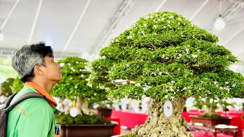 Người dân tham quan tại hội thi triển lãm sinh vật cảnh TPHCM năm 2024 ở công viên Dương Đình Nghệ.