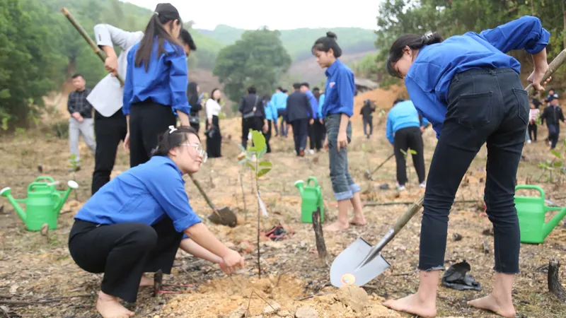 Đoàn viên thanh niên và nhân dân cùng tham gia trồng cây xanh tại khu di tích Tân Trào