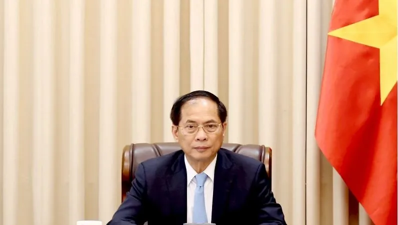 Phó Thủ tướng, Bộ trưởng Bộ Ngoại giao Bùi Thanh Sơn