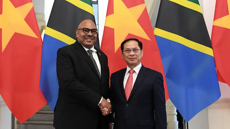 Phó Thủ tướng, Bộ trưởng Ngoại giao Bùi Thanh Sơn và Bộ trưởng Ngoại giao và Hợp tác Đông Phi nước Cộng hòa Thống nhất Tanzania Mahmoud Thabit Kombo