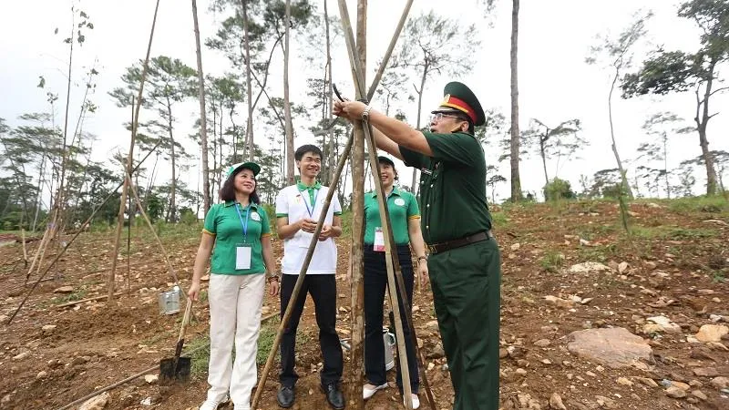 Thực hiện di chúc lời Bác dạy, Khu di tích K9 trồng hàng trăm cây Chò