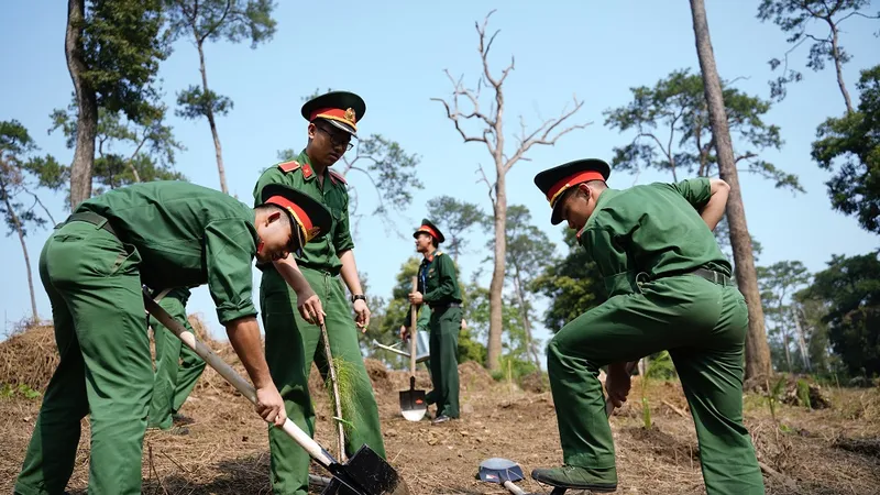  Phủ xanh 2.000 cây Thông Mã Vĩ trên đồi cây “Dâng Bác – Ơn Thầy”