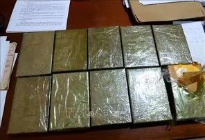 Lợi dụng “luồng xanh” để vận chuyển ma túy từ Tây Bắc về Hà Nội tiêu thụ 