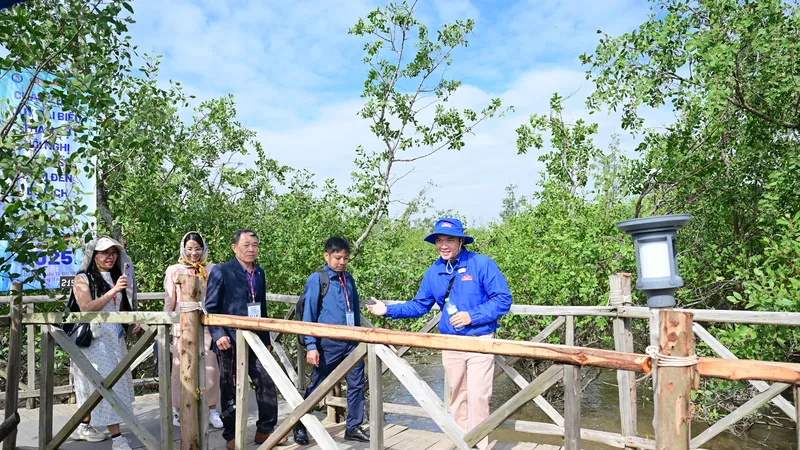 Khám phá rừng ngập mặn ở Đồ Sơn, TP Hải Phòng