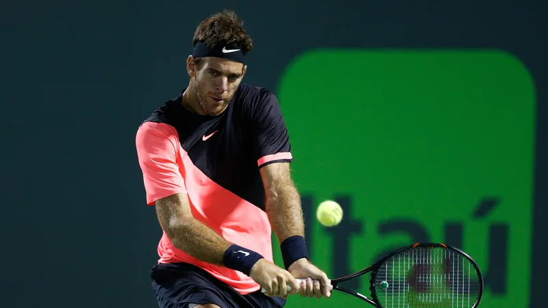 Juan Martin del Potro