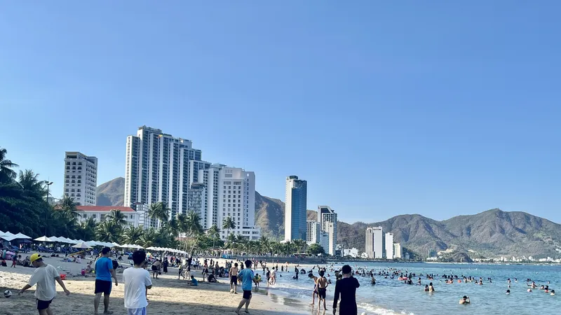 Biển Nha Trang xuất hiện sứa lửa gây nguy hiểm cho người tắm biển