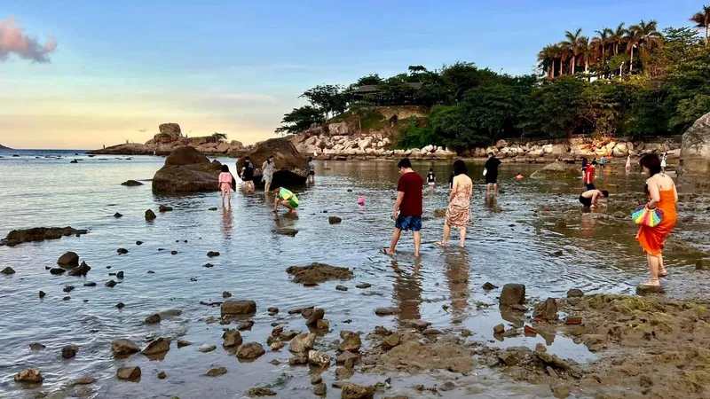 Rạn san hô Hòn Chồng (Nha Trang) nguy cơ bị tàn phá 