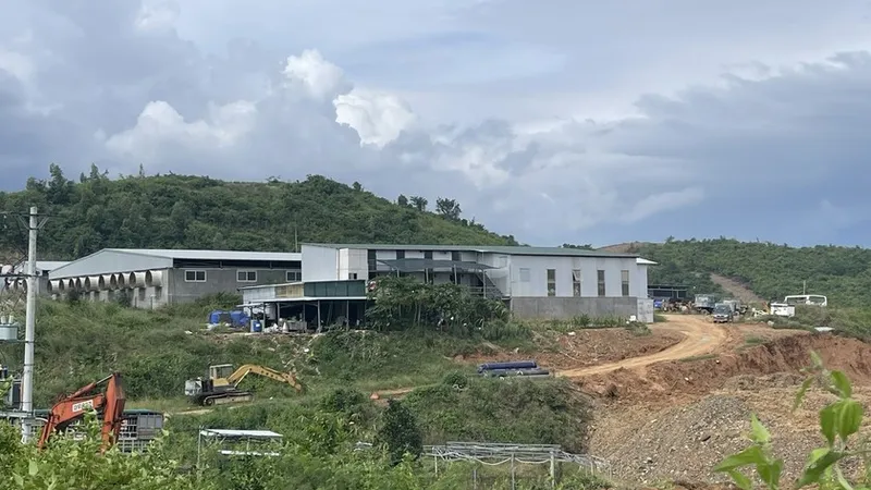 Khánh Hòa: Tháo dỡ toàn bộ trang trại nuôi heo xây dựng trái phép trên đất rừng