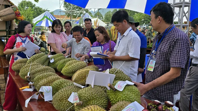 Vùng núi Khánh Sơn đón du khách về dự Lễ hội Trái cây năm 2024