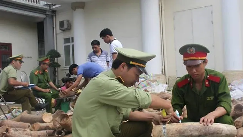 Bắt giữ hơn 2,7 tấn ngà voi trên xe tải 