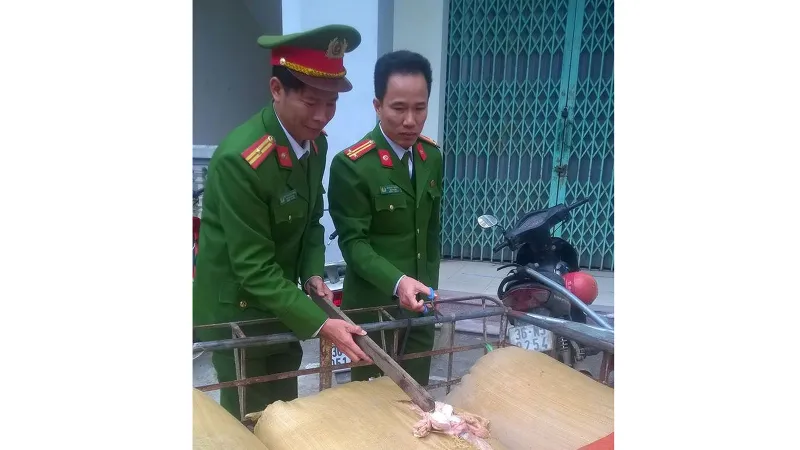 Phát hiện trên xe khách hơn 5 tạ nội tạng động vật hôi thối