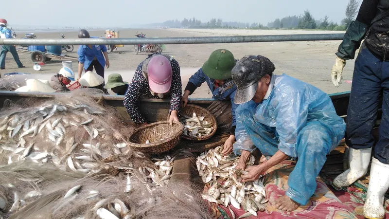 Nhịp mưu sinh dần trở lại nơi làng biển