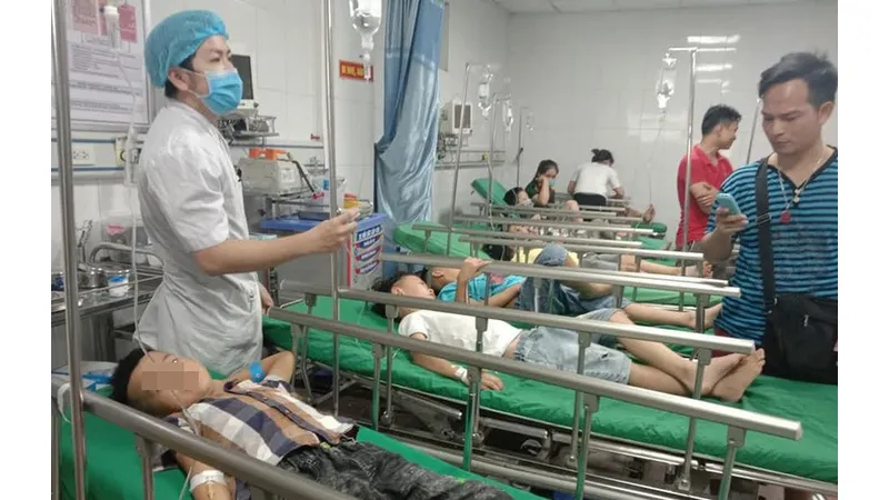 16 học sinh tiểu học ở Nghệ An nhập viện vì bị ong đốt