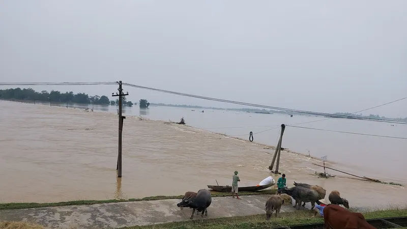 Nghệ An: 7 người chết do mưa lũ