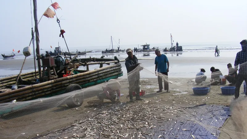 Ngư dân Thanh Hóa “mở cửa biển”, ra khơi đánh bắt đầu năm
