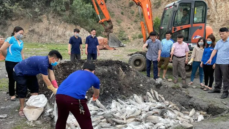Thanh Hóa: Cá chết bất thường với số lượng hàng chục tấn