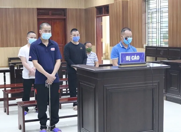 4 bị cáo (đứng) tại tòa. Ảnh: L.N.