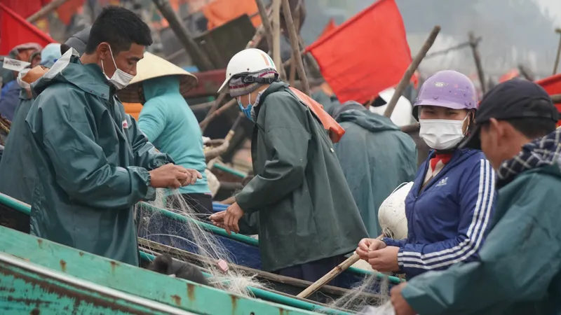 Ngư dân Bắc miền Trung đánh bắt gần bờ cho thu nhập cao
