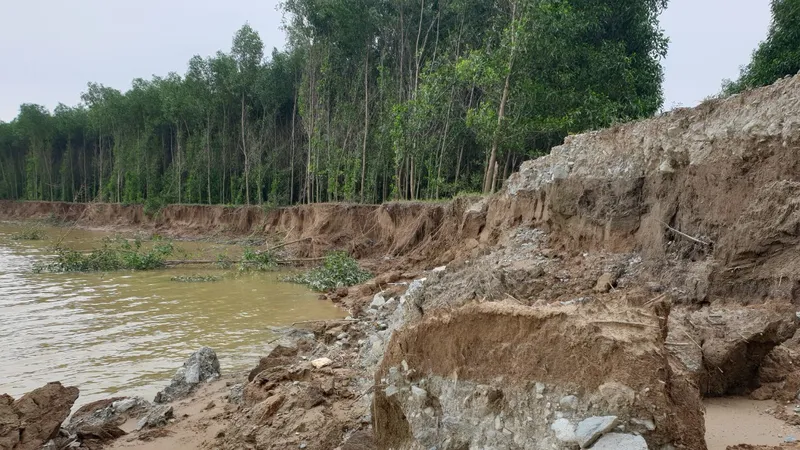 Đê sông Lam bị sạt lở nghiêm trọng