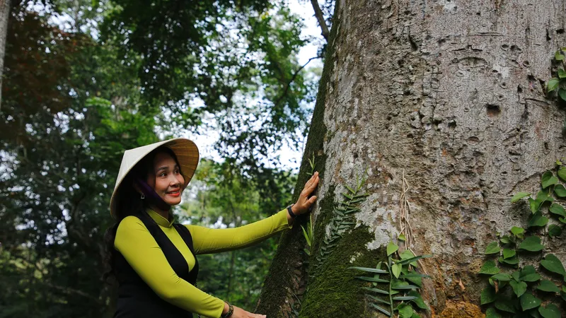 Đầu xuân khám phá di sản rừng thiêng Lam Kinh