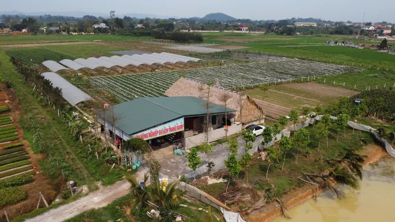 Hiệu quả từ mô hình “sản xuất xanh - sống an lành”
