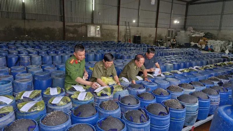 Phát hiện 4 cơ sở sản xuất 3.500 tấn giá đỗ bằng chất cấm “nước kẹo”