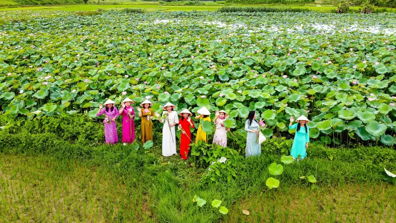 “Check-in” thành đá cổ ngắm sen