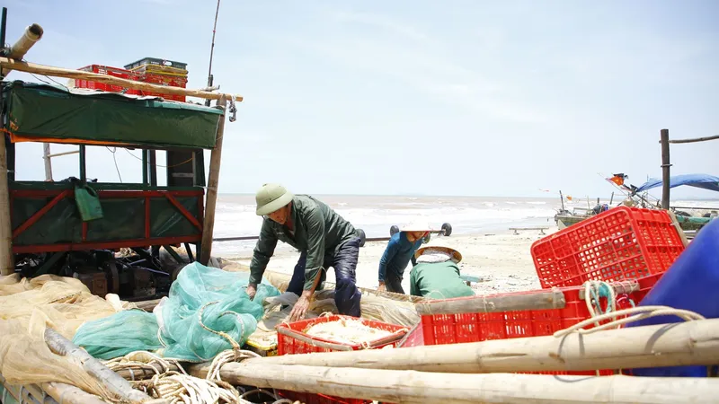 Nhọc nhằn nghề khai thác tép biển 