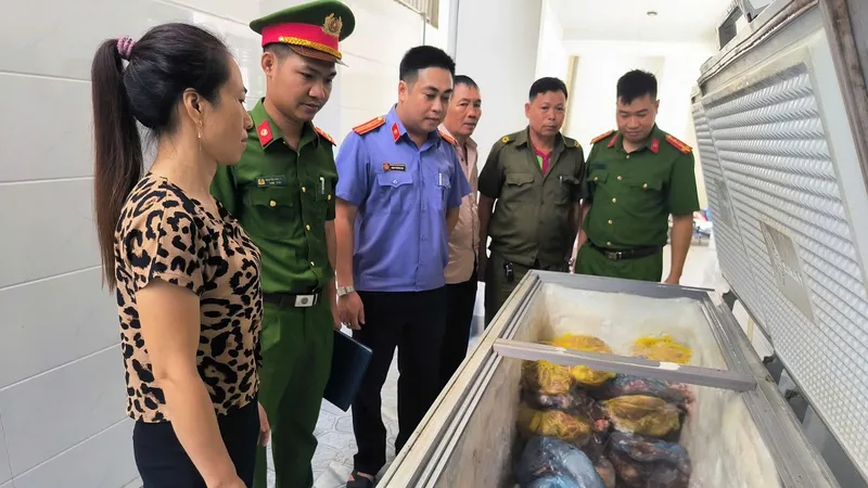 Khởi tố đối tượng giết mổ heo bệnh bán làm thực phẩm