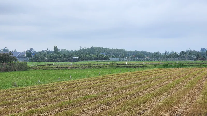 Hơn 46 triệu thửa đất được đưa vào vận hành phục vụ công tác quản lý Nhà nước về đất đai