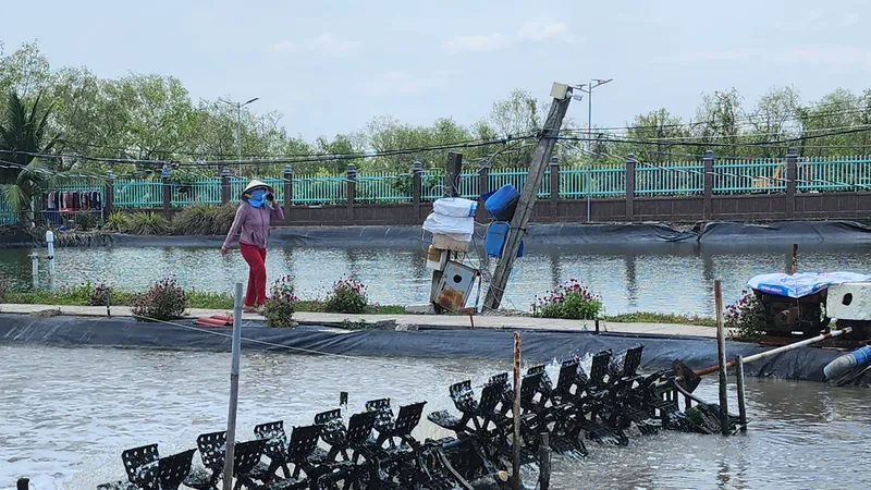 Thay đổi tư duy sản xuất nông nghiệp sang kinh tế nông nghiệp