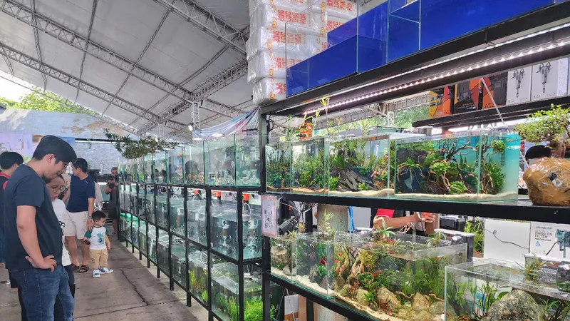 Khai mạc Ngày hội sinh vật cảnh TPHCM năm 2025