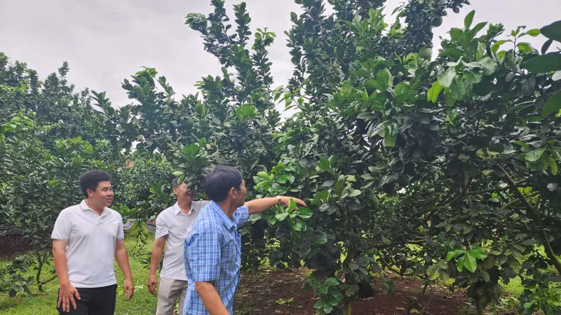 TPHCM: Nhiều nông dân trẻ vươn lên làm tỷ phú