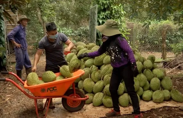 Một số ngành hàng, sản phẩm được ưu tiên hỗ trợ