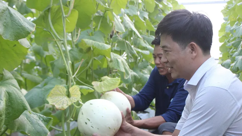 TPHCM phát động cuộc thi Khởi nghiệp đổi mới sáng tạo trong nông nghiệp