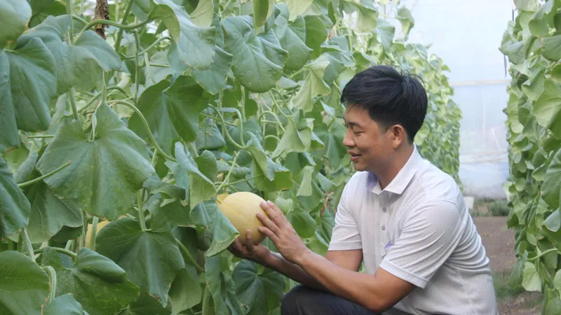 Phát động cuộc thi khởi nghiệp đổi mới sáng tạo nông nghiệp công nghệ cao