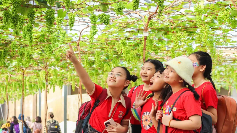 Thêm nhiều trải nghiệm thú vị về ngành nghề truyền thống cho học sinh