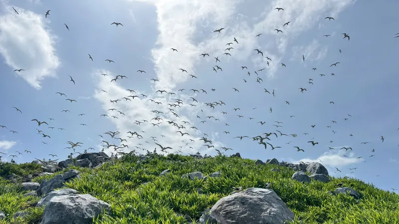 Phát triển Côn Đảo thành “thiên đường du lịch nghỉ dưỡng sinh thái và tâm linh”