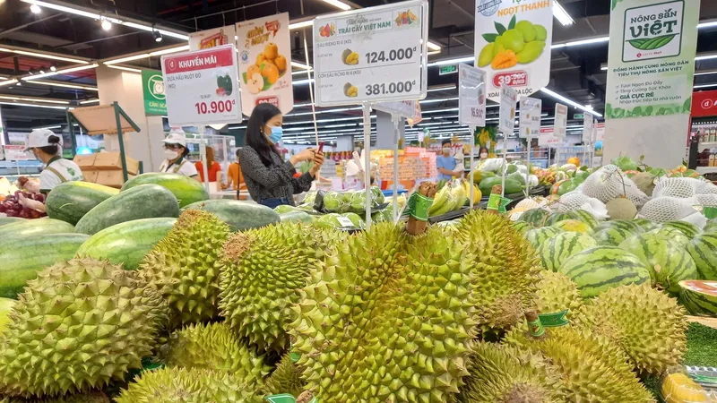 Giá sầu riêng giảm mạnh vào thời điểm thu hoạch chính vụ