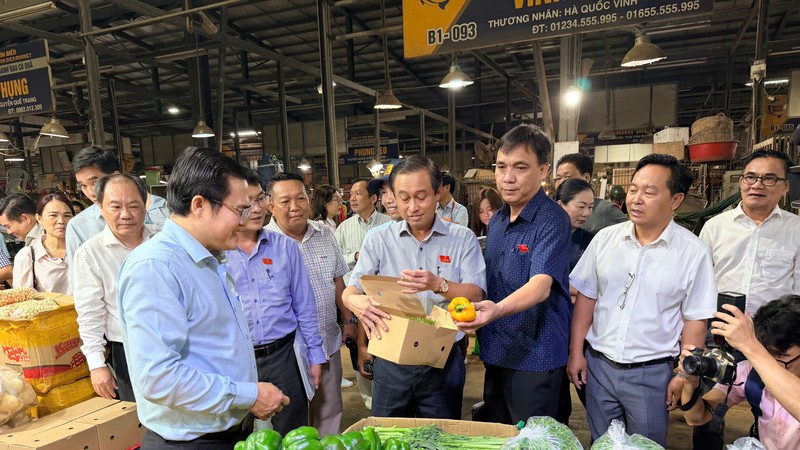 胡志明市人民议会常务视察平田集散市场食品安全