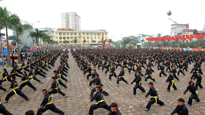 Liên đoàn võ cổ truyền Việt Nam sẽ tổ chức Đại hội nhiệm kỳ mới vào ngày 27-9 tới đây. Ảnh: CỤC TDTTVN